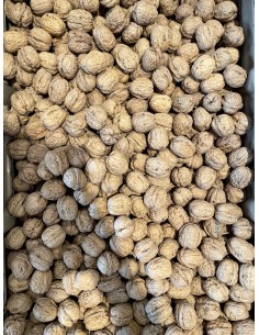 Noci confezione gr 500