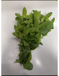 Menta mazzo