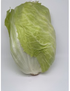 Insalata torcilione 1 pezzo...