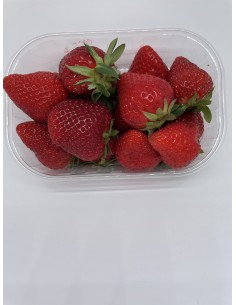 Fragole cestino da gr 250