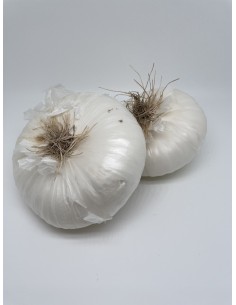 Cipolle bianche piatte 2...