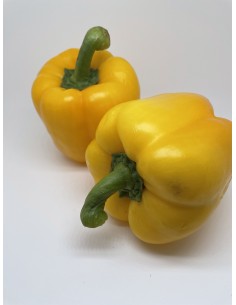 Peperone gialle 2 pezzi...