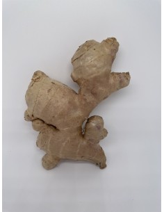 Zenzero radice 1 pezzo gr 150