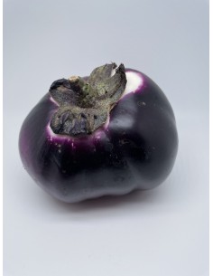 Melanzana viola 1 pezzo...