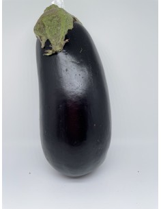 Melanzana scura 1 pezzo...