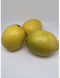 Limoni 2 pezzi circa 450 gr