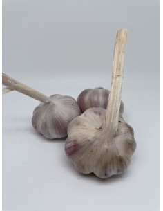 Aglio rosso 1 pezzo circa...