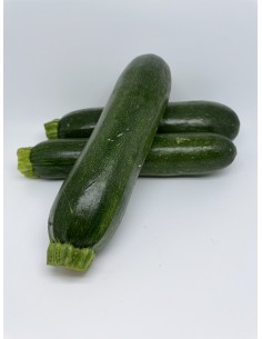 Zucchine 2 pezzi circa 250 gr