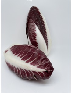 Trevisano lungo 1 pezzo...