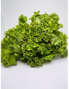 Insalata gentile 1 pezzo...