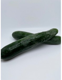 Cetrioli 2 pezzi circa 400 gr