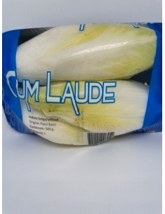 Invidia belga gr 500