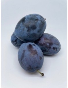 Susine 2 pezzi circa 150 gr