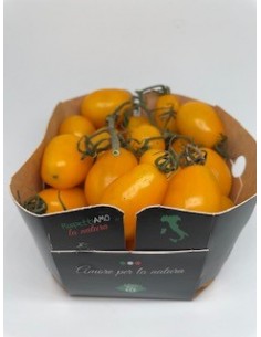 Pomodoro datterino giallo...