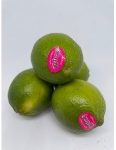 Limes 4 pezzi circa gr 350
