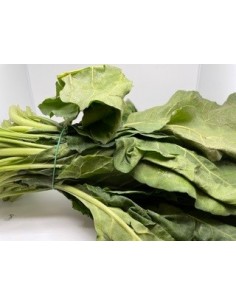 Erbette mazzi circa gr 0,55