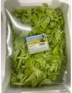 Insalata box gr 400