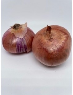 Cipolle dorate 2 pezzi...