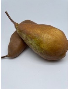 Pere Kaiser 2 pezzi circa...