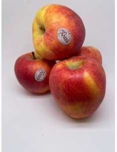 Mela envi 2 pezzi circa gr 600