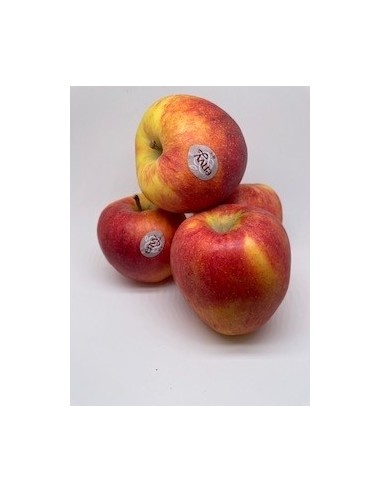 Mela envi 2 pezzi circa gr 600