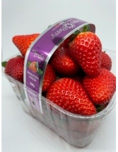 Fragole candonga 1 cestino...