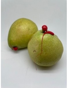 Pere decana 2 pezzi circa...