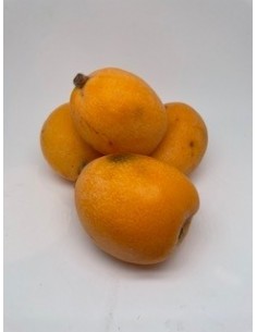 Nespole 2 pezzi circa gr 250