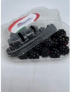 More Sant'orsola gr 250