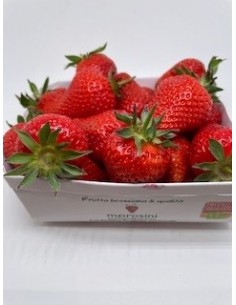 Fragole morosini 1 cestino...