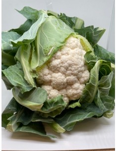 Cavolfiore bianco 1 pezzo...