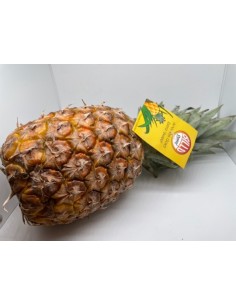 Ananas 1 pezzo circa kg 1,9