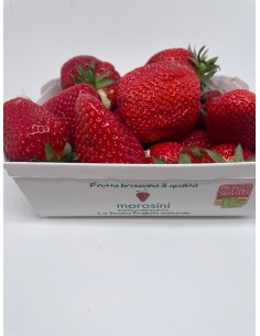 Fragole morosini 1 cestino...