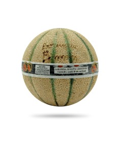 Melone retato lorenzini 1...