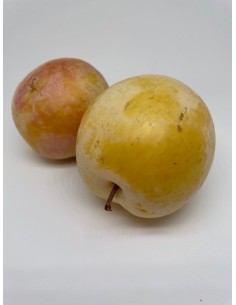 Prugne bianche 2 pezzi...