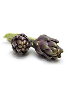 Carciofi tema