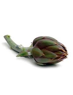 Carciofi spine