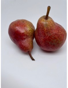 Pere william rosso 2 pz...