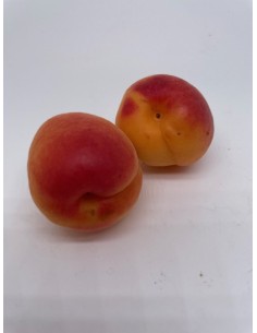 Albicocche  2 pz circa gr 200