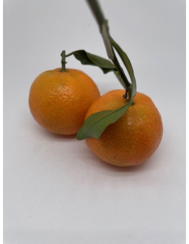 Clementine offerta 2 pezzi circa 160 gr
