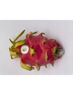 Dragon fruit