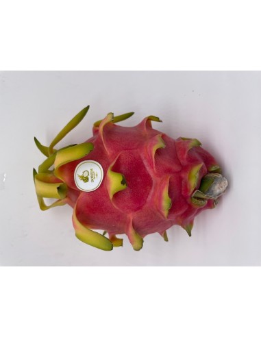 Dragon fruit