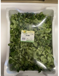 Valeriana box gr 400