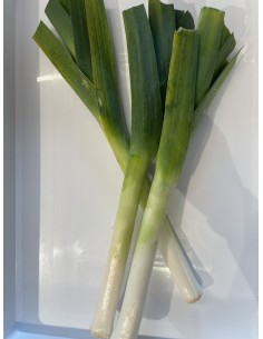 Porri 2 pezzi circa 550 gr