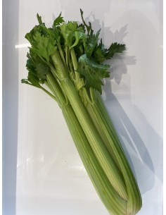 Sedano verde  1 pezzo circa...